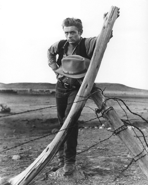 1956 Famous Actor JAMES DEAN Glossy 8x10 Photo Hollywood Celebrity Print