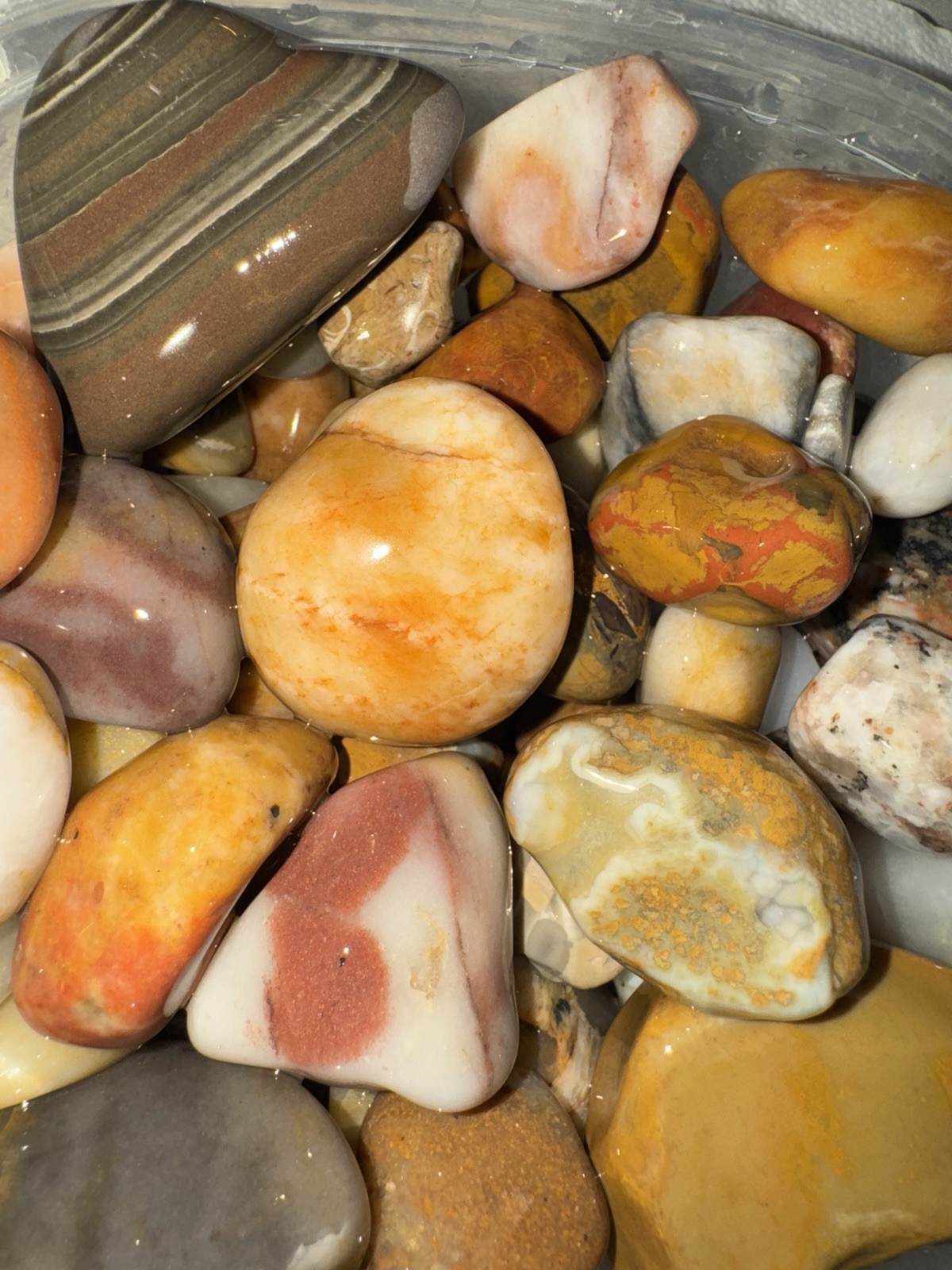 Michigan rocks and fossils 
