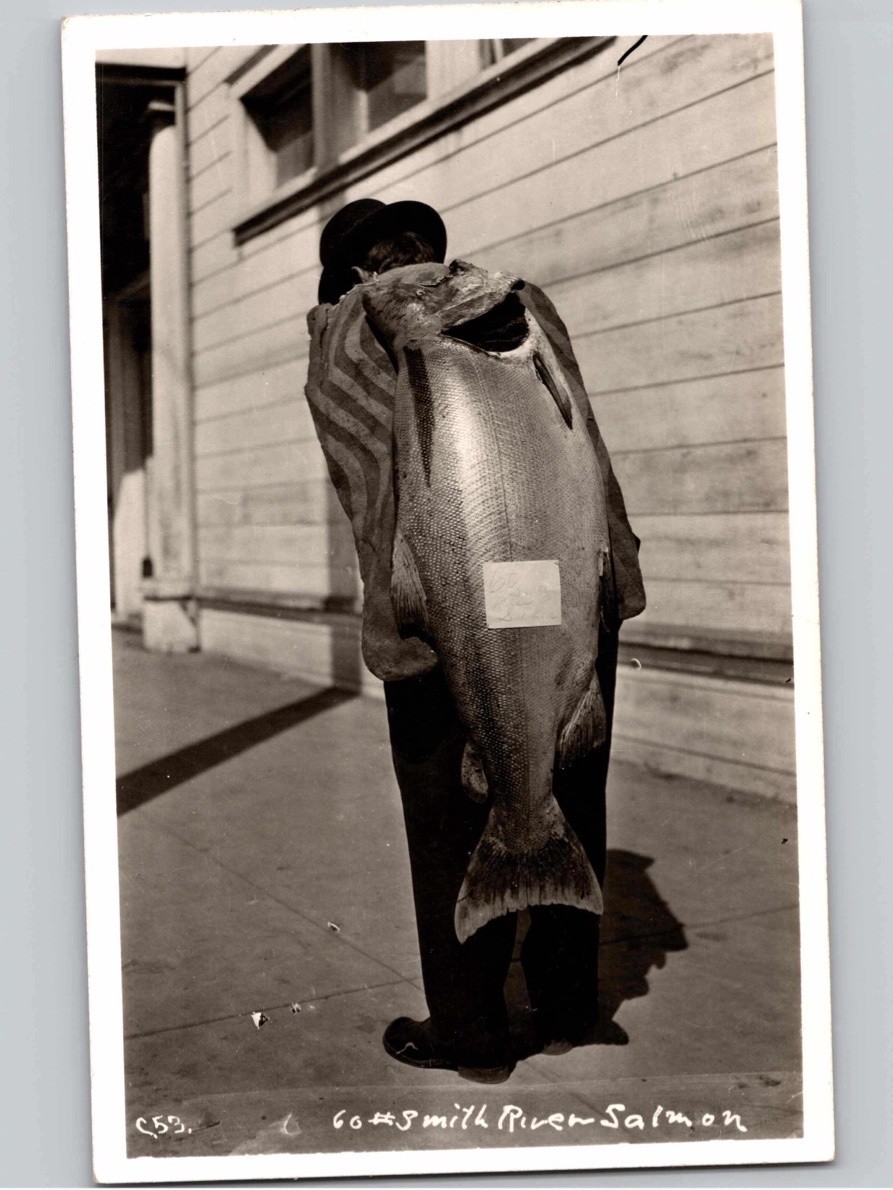 c1945 60lb Smith River Salmon Man Fishing California CA EKC RPPC Photo Postcard c1945 60lb Smith River Salmon Man Fishing California CA EKC RPPC Photo Postcard