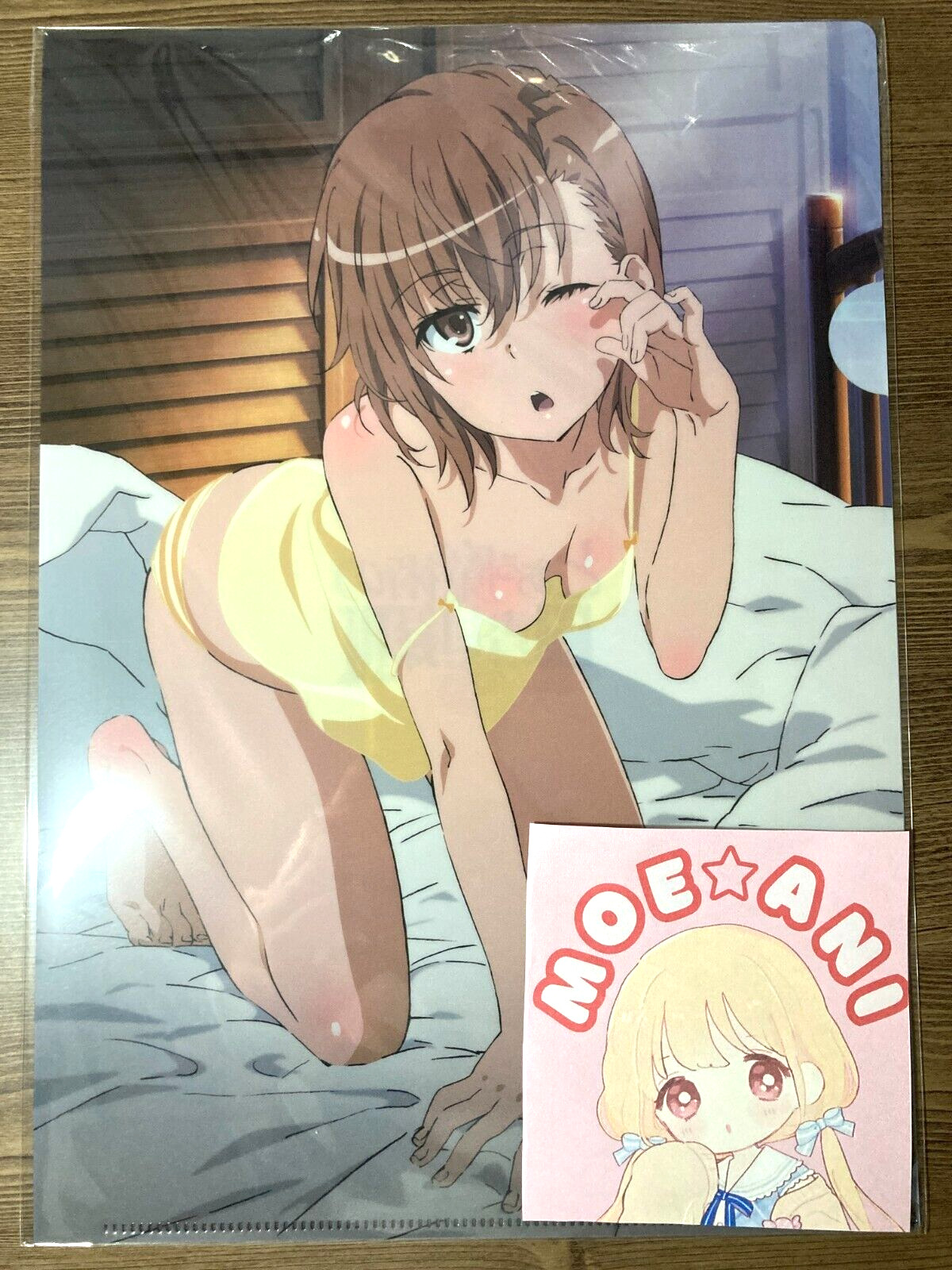 A Certain Magical Index 3 Misaka Mikoto A4 Clear File Bedroom Underwear Anime