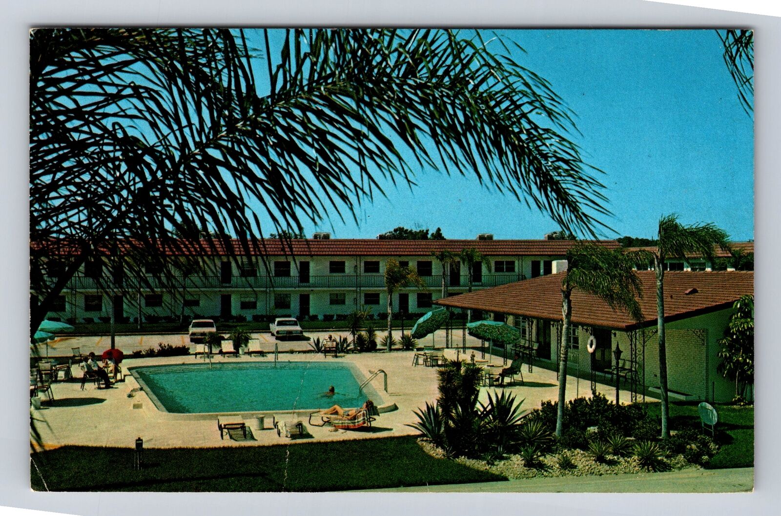 Clearwater FL-Florida, Imperial Gardens, Advertising, Vintage Souvenir Postcard