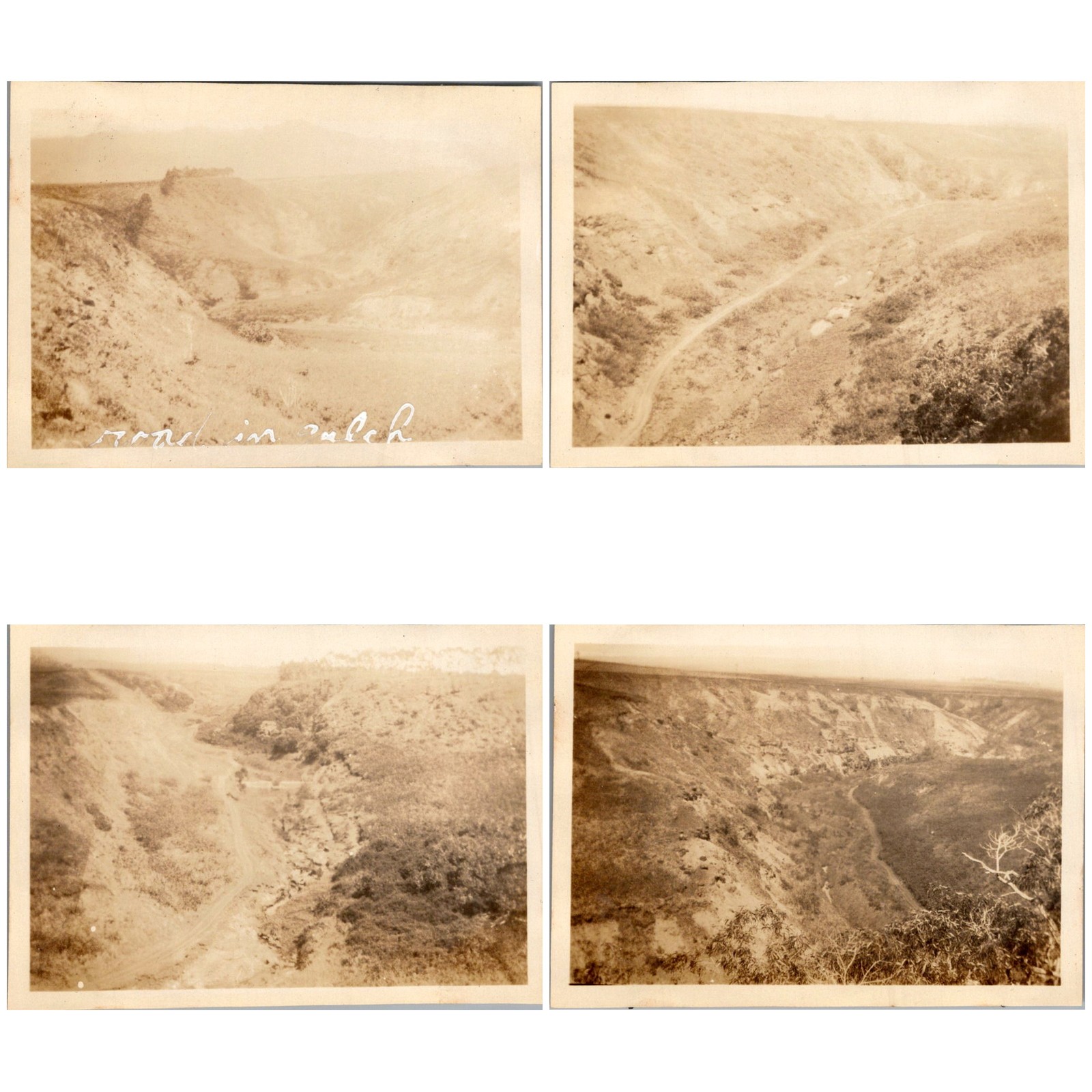 Lot 4 Territory of Hawaii Gulch Canyon Road Photographs Schofield c1920s-30s Lot 4 Territory of Hawaii Gulch Canyon Road Photographs Schofield c1920s-30s
