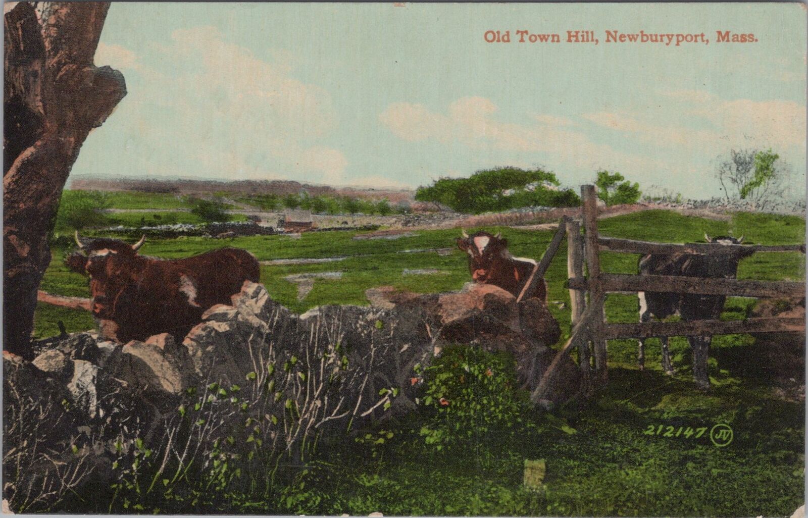 Old Town Hill, Newburyport, Massachusetts Salisbury 1910 Postcard