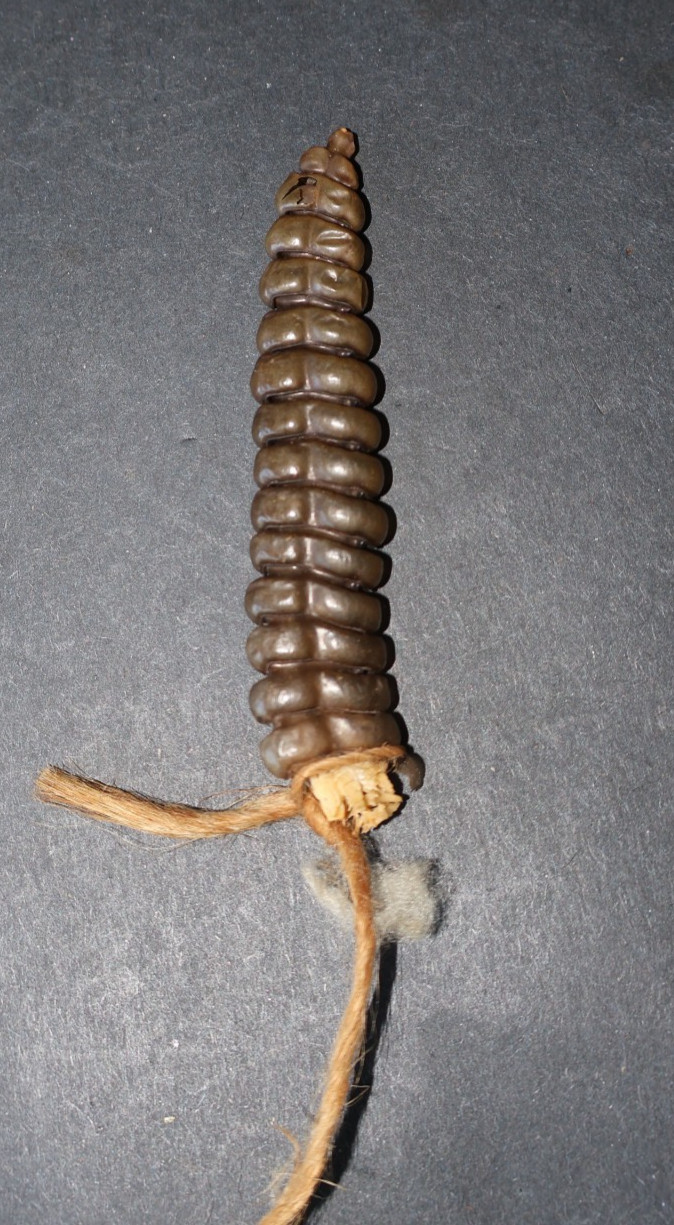 Large Set of Rattlesnake Rattles, 14 working Rattles & a Button, Good Condition
