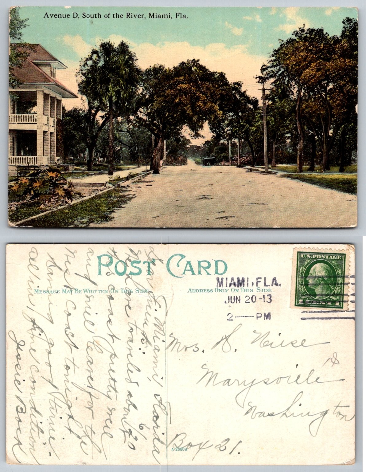Avenue D Miami Florida 1913 Postcard Historic Palm Lined Street