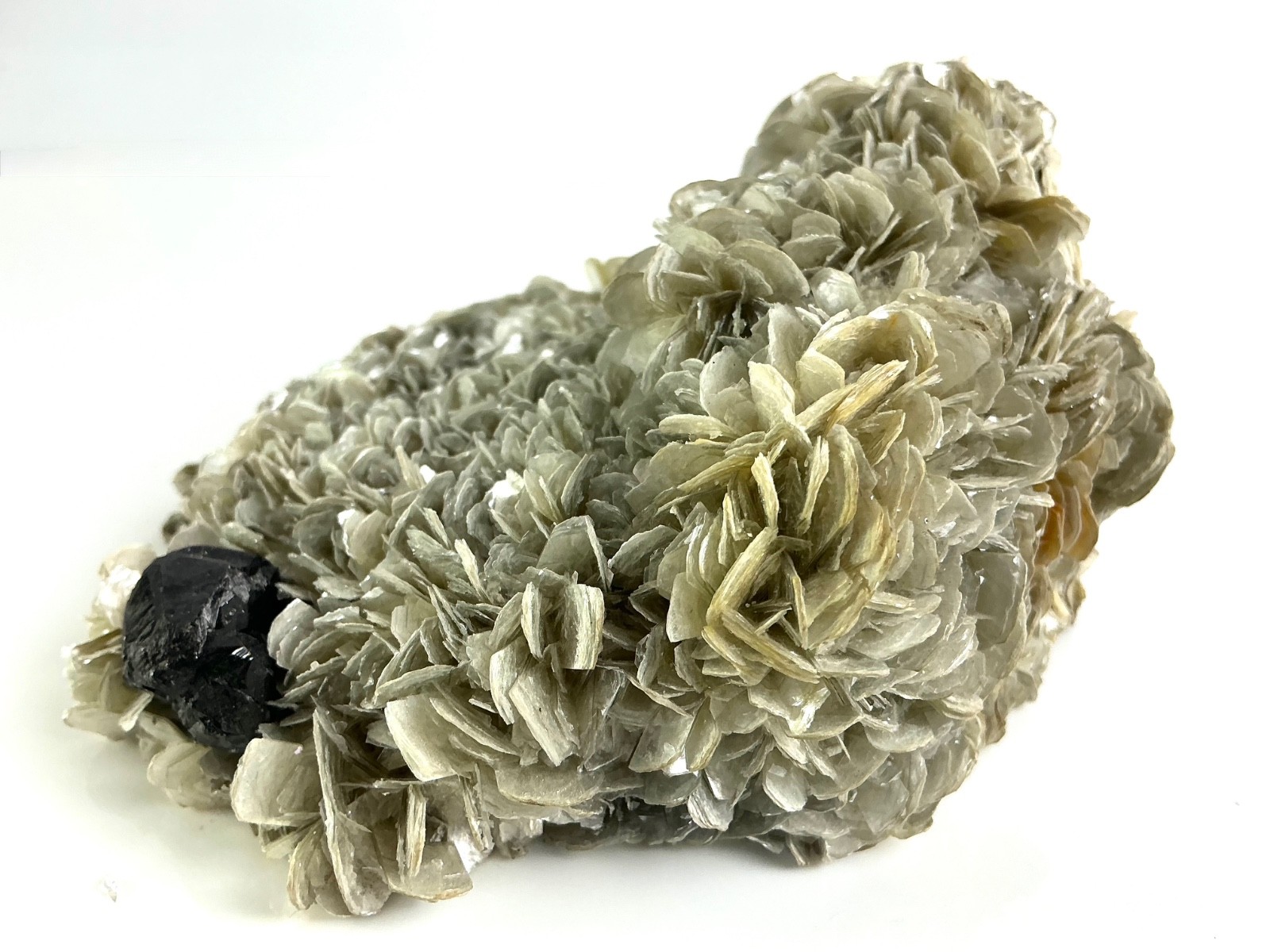 Twinned Cassiterite on Muscovite Pingwu Mine Xuebaoding China 125mm Rare