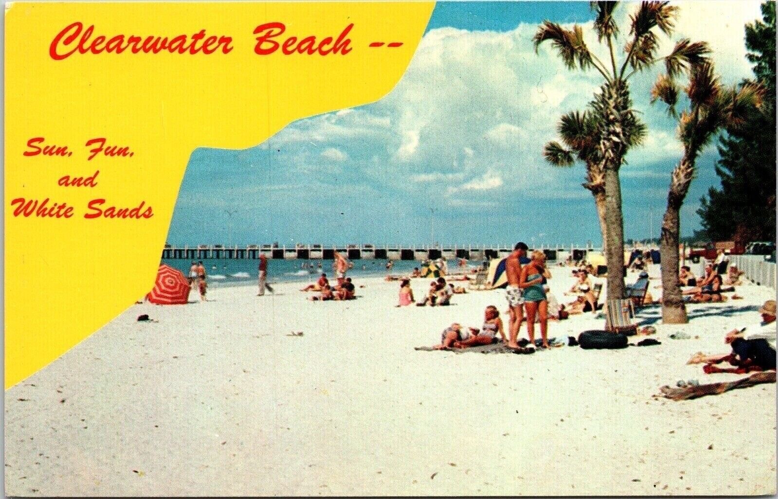 Clearwater Beach Funnin Sun White Sandy Beach PPL Tropical Trees Postcard Unused