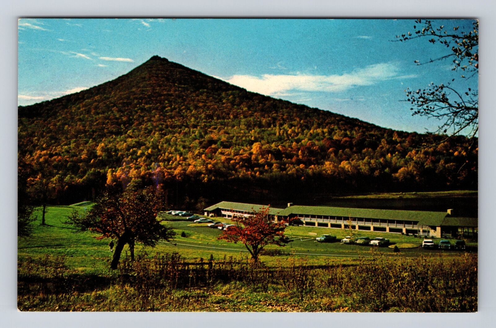 Bedford VA-Virginia, Peaks Of Otter Lodge, Antique, Vintage Souvenir Postcard