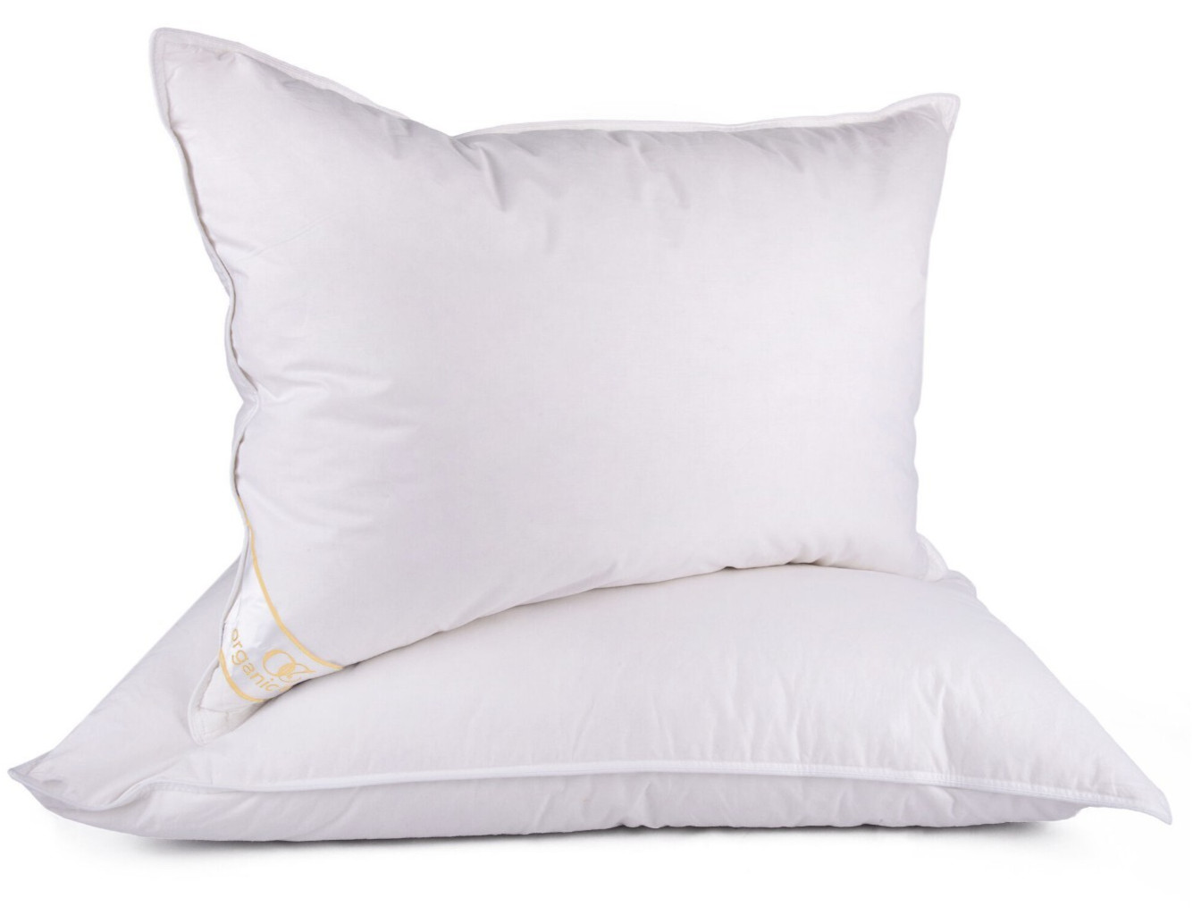 2-pc ORGANIC CLUB Sheep Wool Pillow in Cotton Cover Standard Bed Pillow 20x28