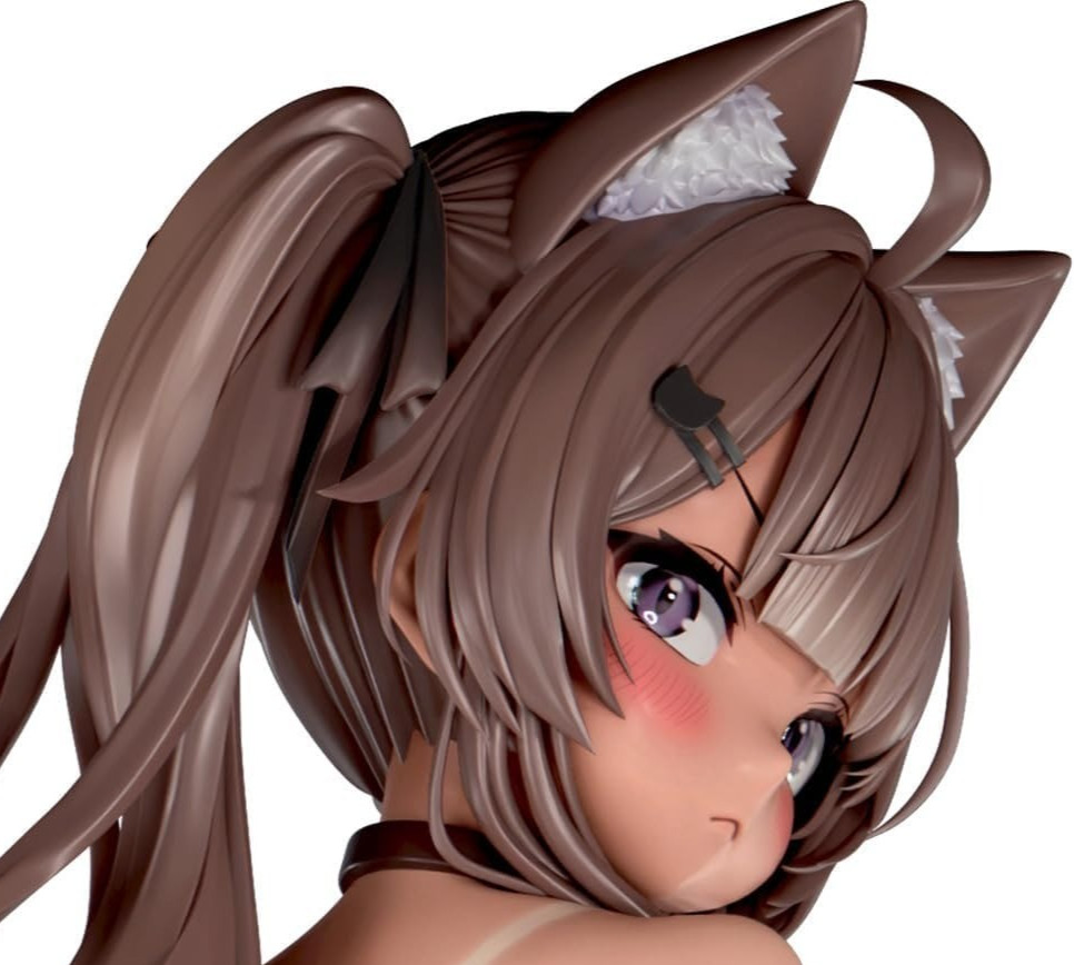 Insight Nikukan Girl Chako Nekoyashiki Tanned Ver 1/5 Scale Complete Figure Used