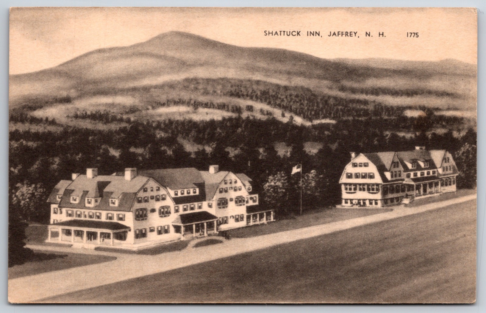 Shattuck Inn East Jaffrey NH New Hampshire UNP DB Postcard XD6