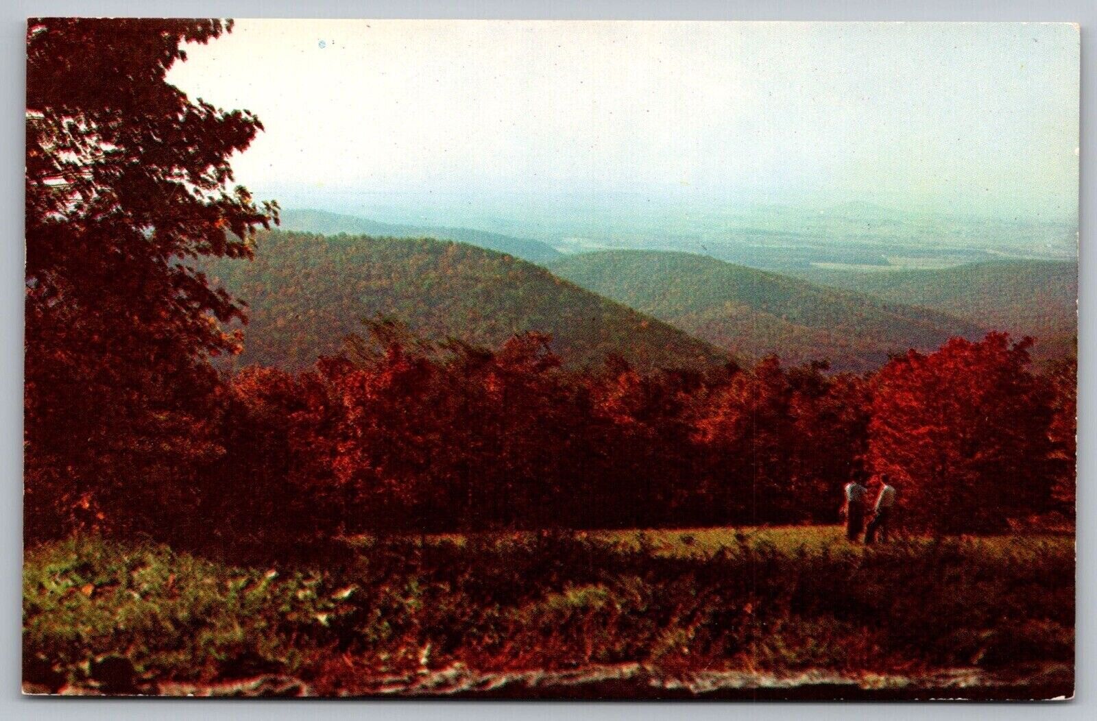 Autumn Shenandoah Valley Blue Ridge Parkway Skyline Drive Virginia VNG Postcard