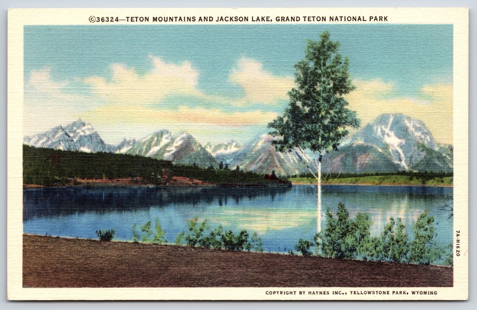 Postcard Teton Mountains And Jackson Lake, Grand Teton National Park Unposted