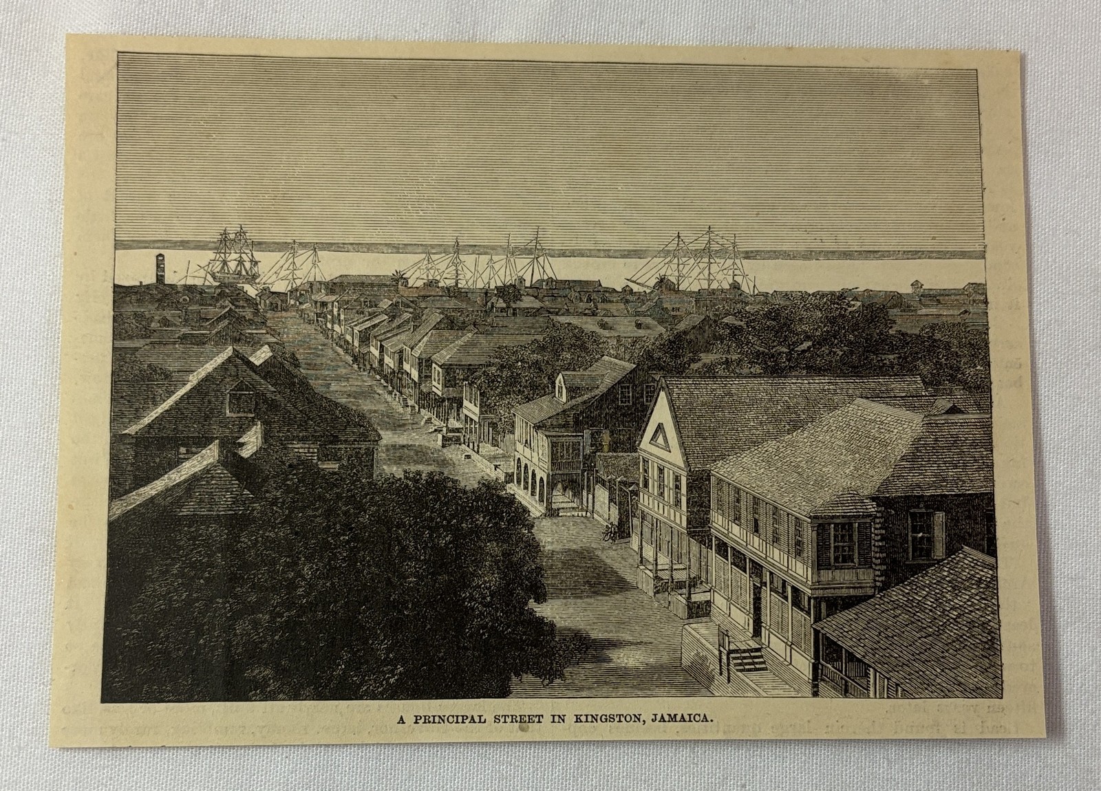 1886 magazine engraving~ STREET IN KINGSTON, Jamaica