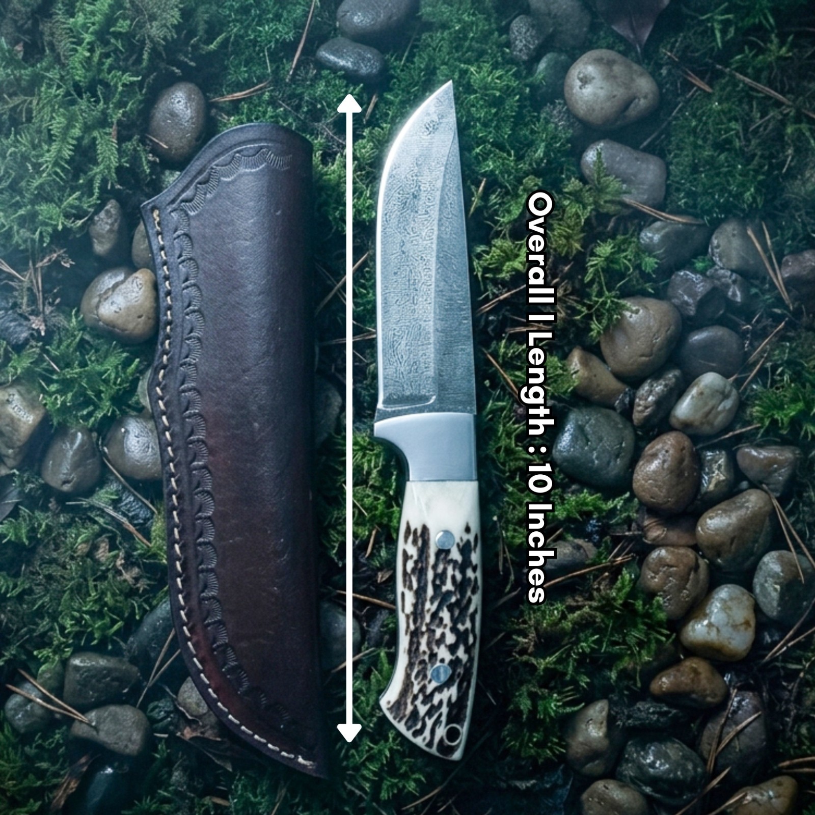 Handcrafted Hunting Knife: Stag Horn Handle Camping, outdoor Gear Leather Sheath