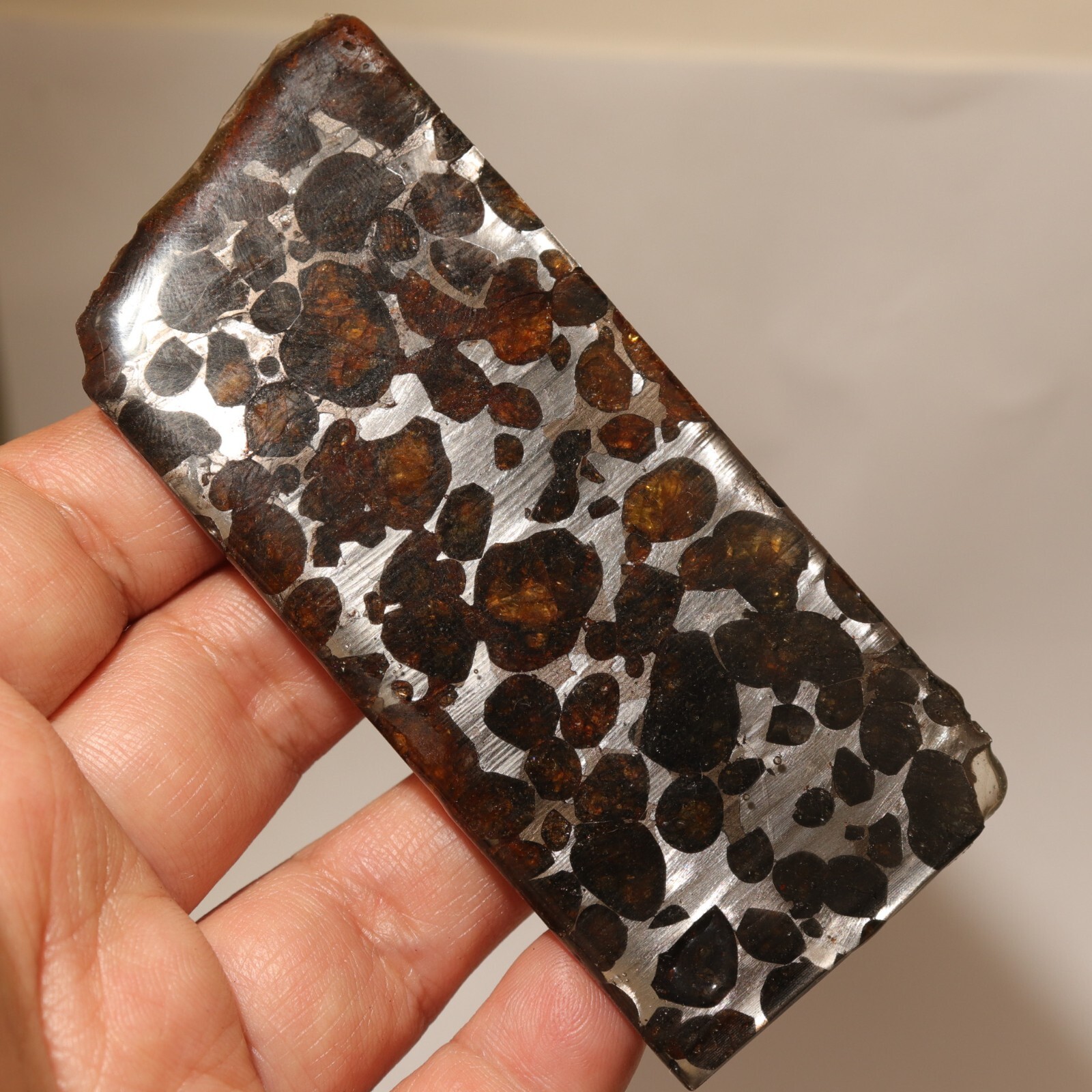 36g Rare slices of Kenyan Pallasite olive meteorite A281