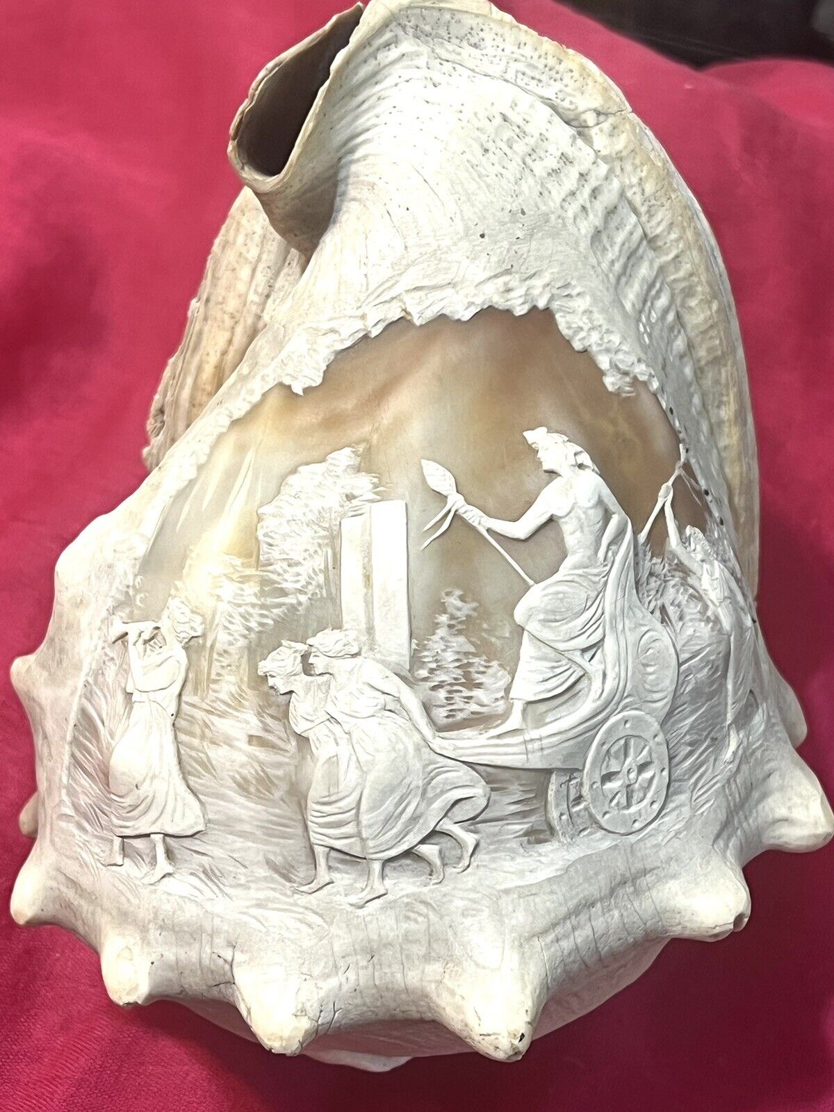 STUNNING FULL CARVED BIG CONCH SHELL CAMEO c1930
