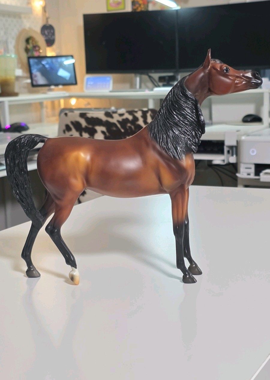 Breyer Horse RD Marcia Bey Arabian Mare Zafirah with box Breyer Horse RD Marcia Bey Arabian Mare Zafirah with box
