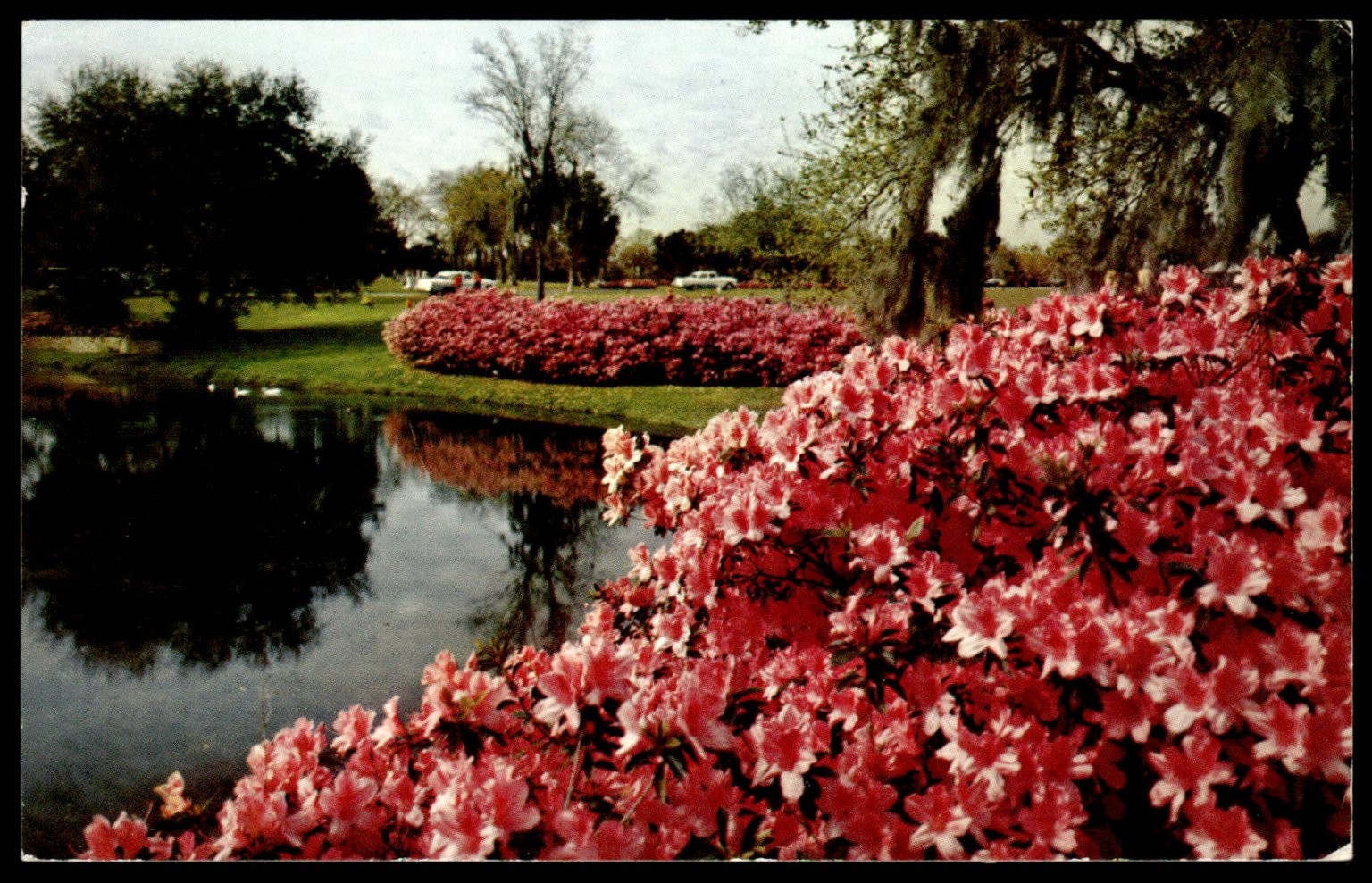 1963 Winter Haven FL Azalea Gardens Postcard H.S. Crocker Posted