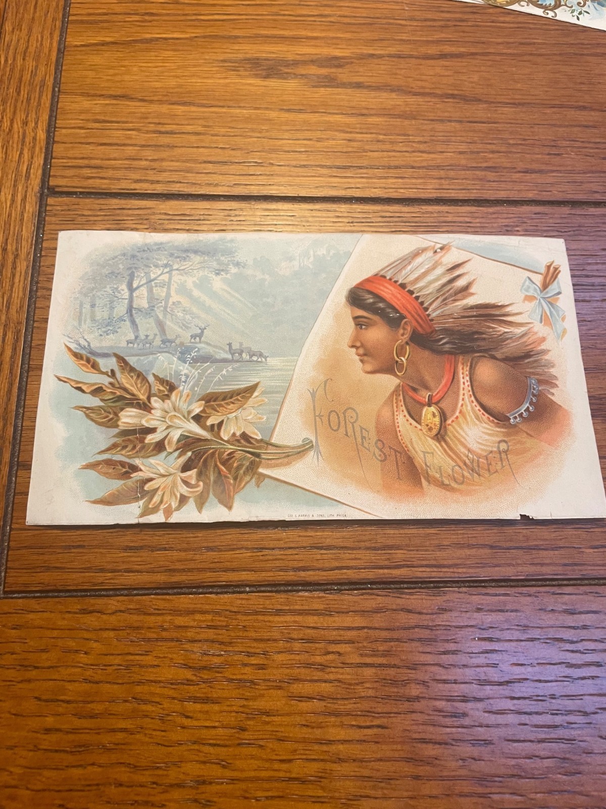 Forest Flower Vintage Lithograph Cigar Box Native American Woman & Floral Design
