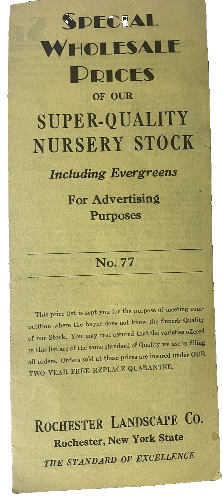 Rochester Landscape Co Wholesale Price List Nursery Stock No 77 NY Evergreens