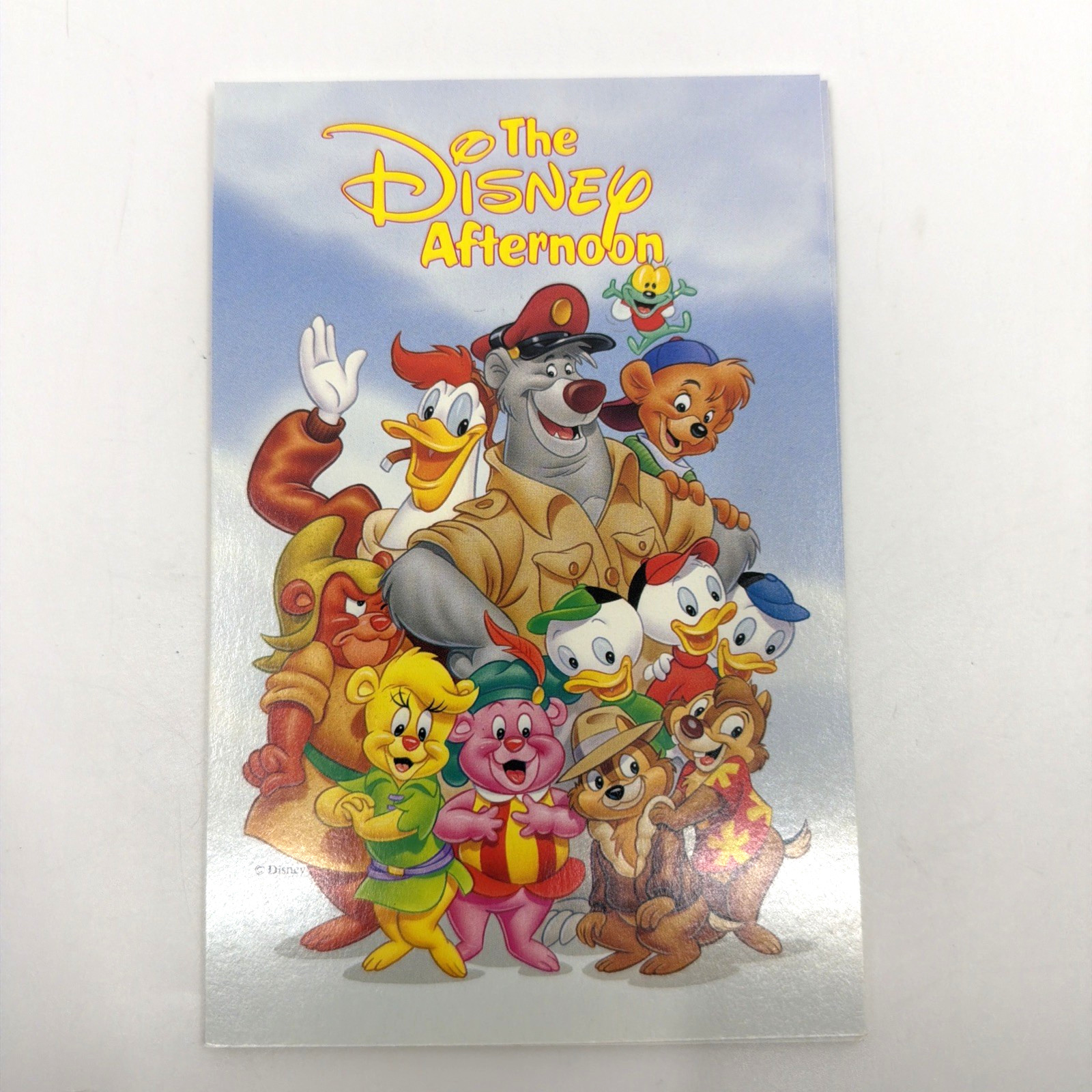 Disney Afternoon Cartoon Characters Continental Postcards A548 New 10 Pc Set