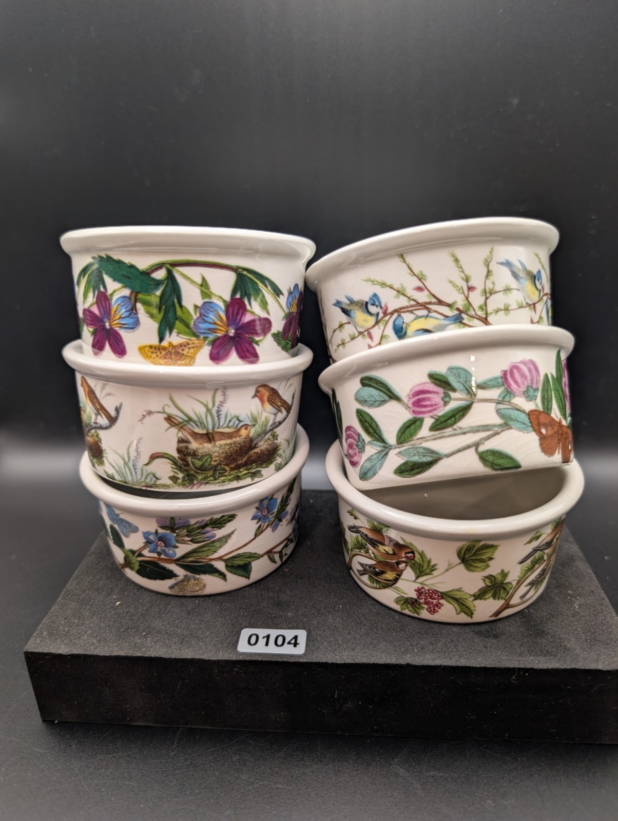 Set 6 Vintage Portmeirion Ramekins Birds of Britain (4) Botanic Garden (2)