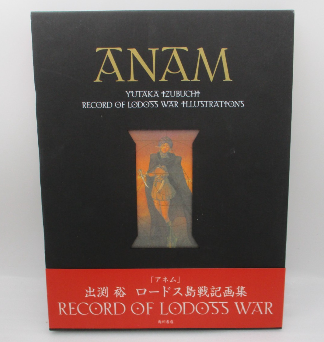 YUTAKA IZUBUCHI RECORD OF LODOSS WAR ILLUSTRATIONS w/ slipcase Japan import