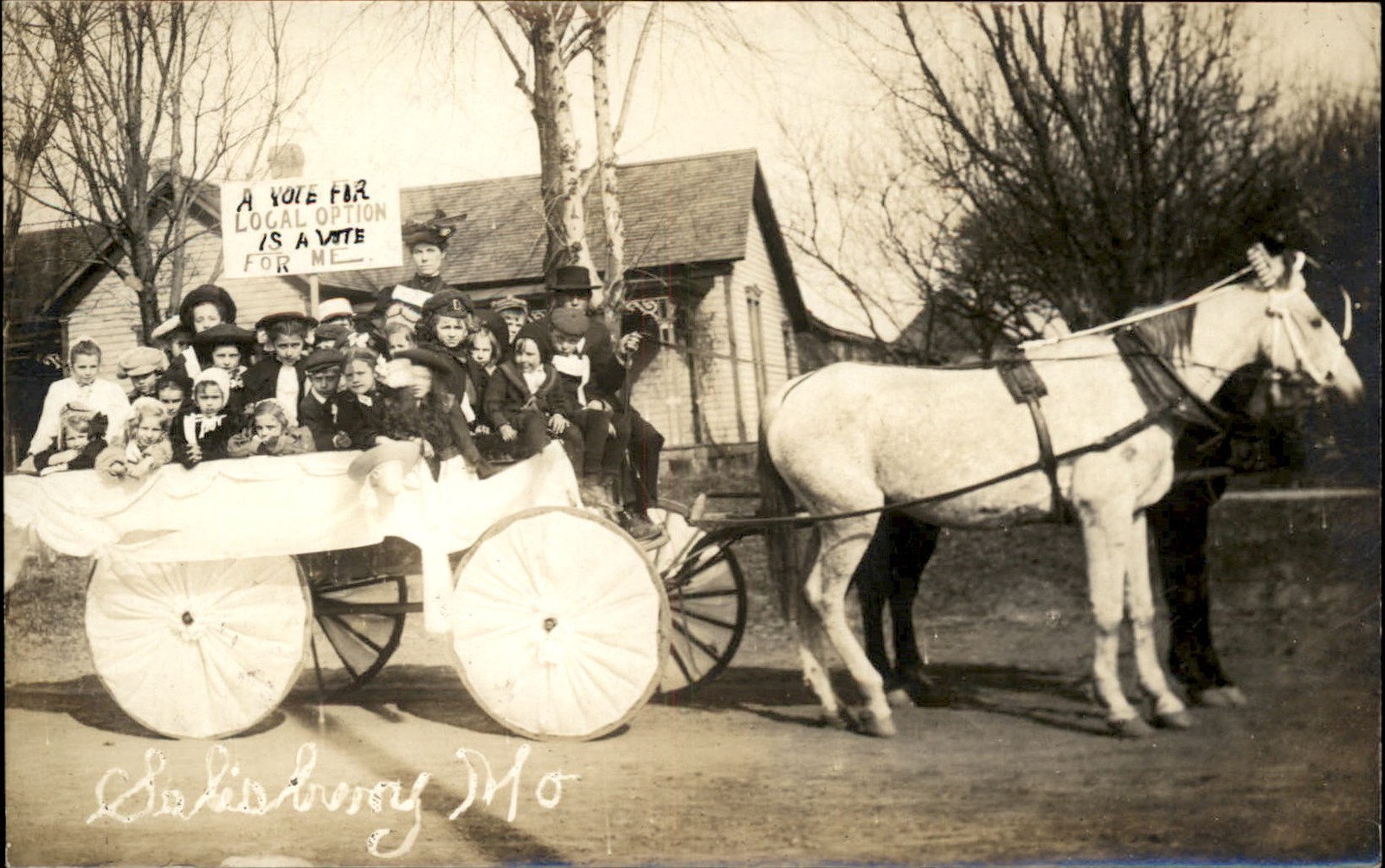 Salisbury Missouri MO Political Parade Float VOTE c1910 Real Photo Postcard bhn