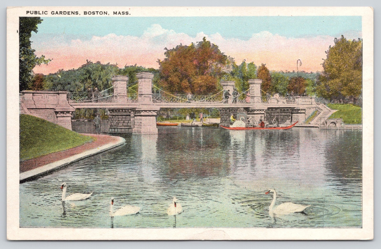 Swans & Swan Boats Boston Public Gardens, Boston MA Massachusetts Postcard 1920s