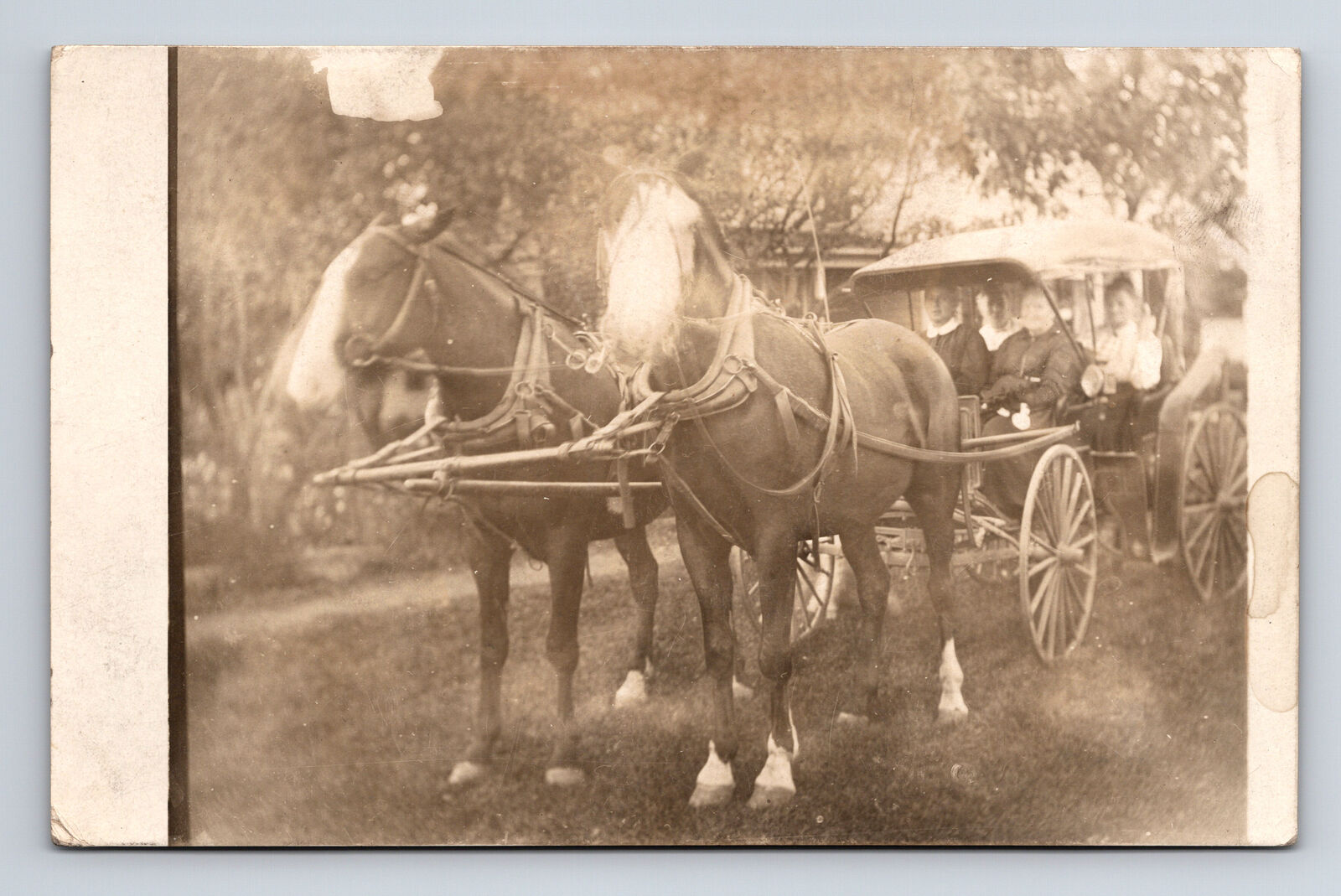 RPPC Two Horse Drawn Carriage Buggy Four Women Real Photo Postcard