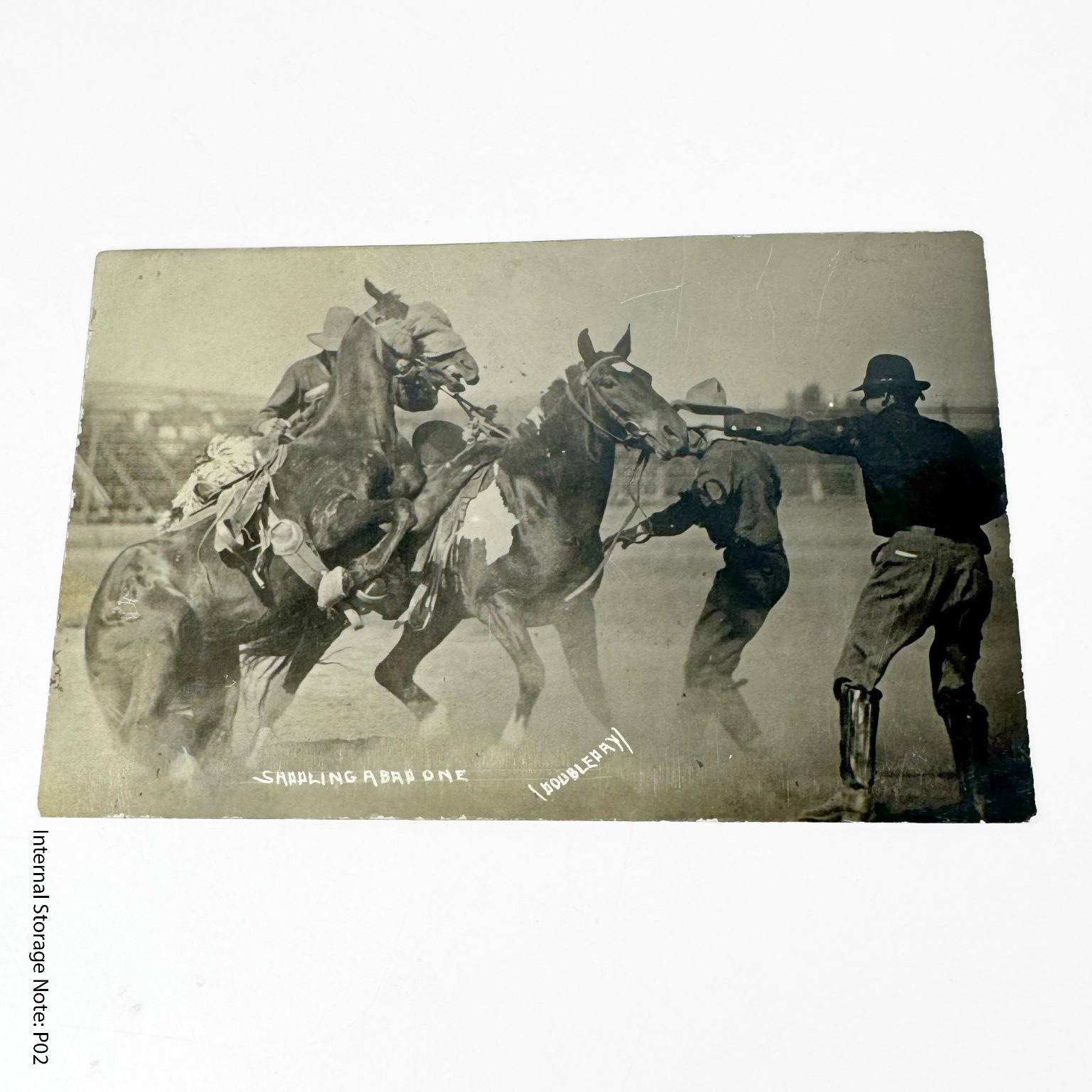 Vintage RPPC Postcard - Wild West Rodeo Horse Breaking - SADDLING RARE ONE