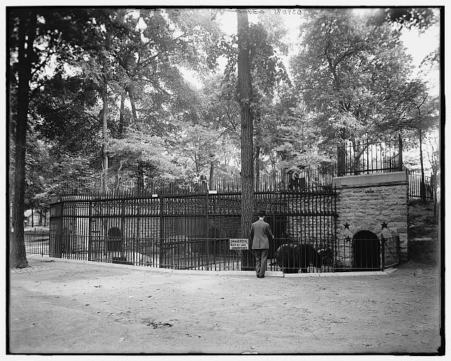 Photo:Detroit Mich Belle Isle Park Bear Pit 1900s Zoo Exhibit