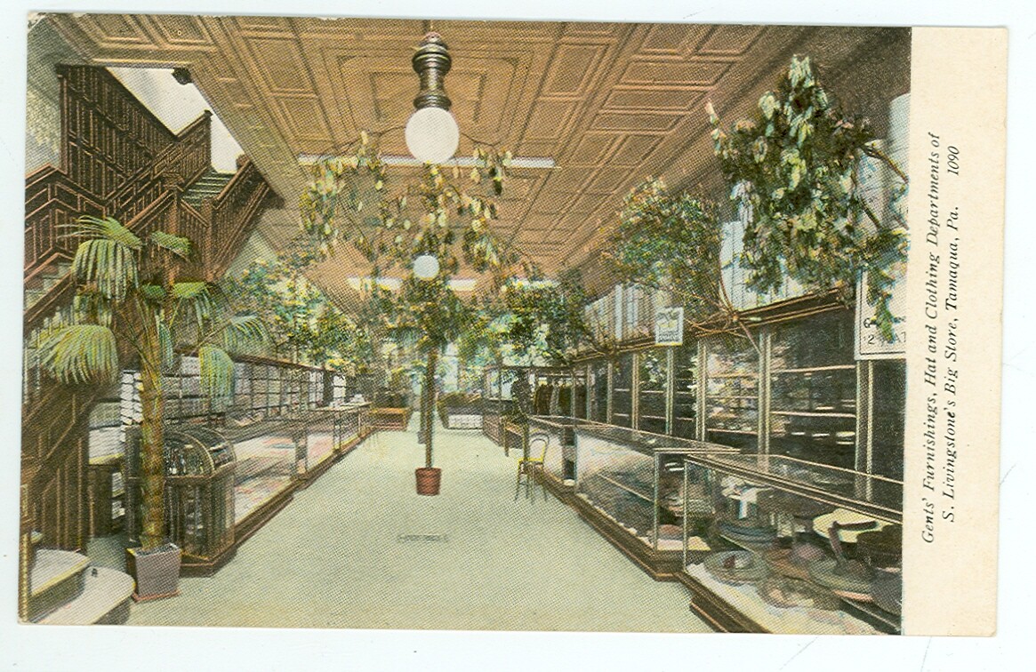 Tamaqua, Pennsylvania, S. Livingstone\'s Big Store (TmiscPA15