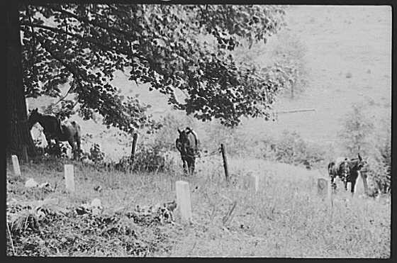 Photo:Campton Kentucky Wolfe County KY 1940s FSA Horse Field Scene