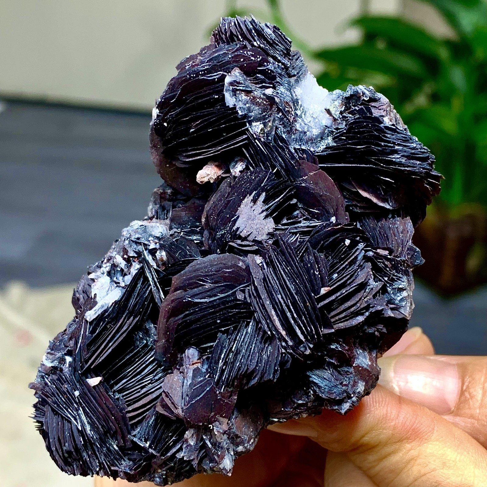 157G Natural Specularite Hematite Quartz cluster crystal mineral specimen