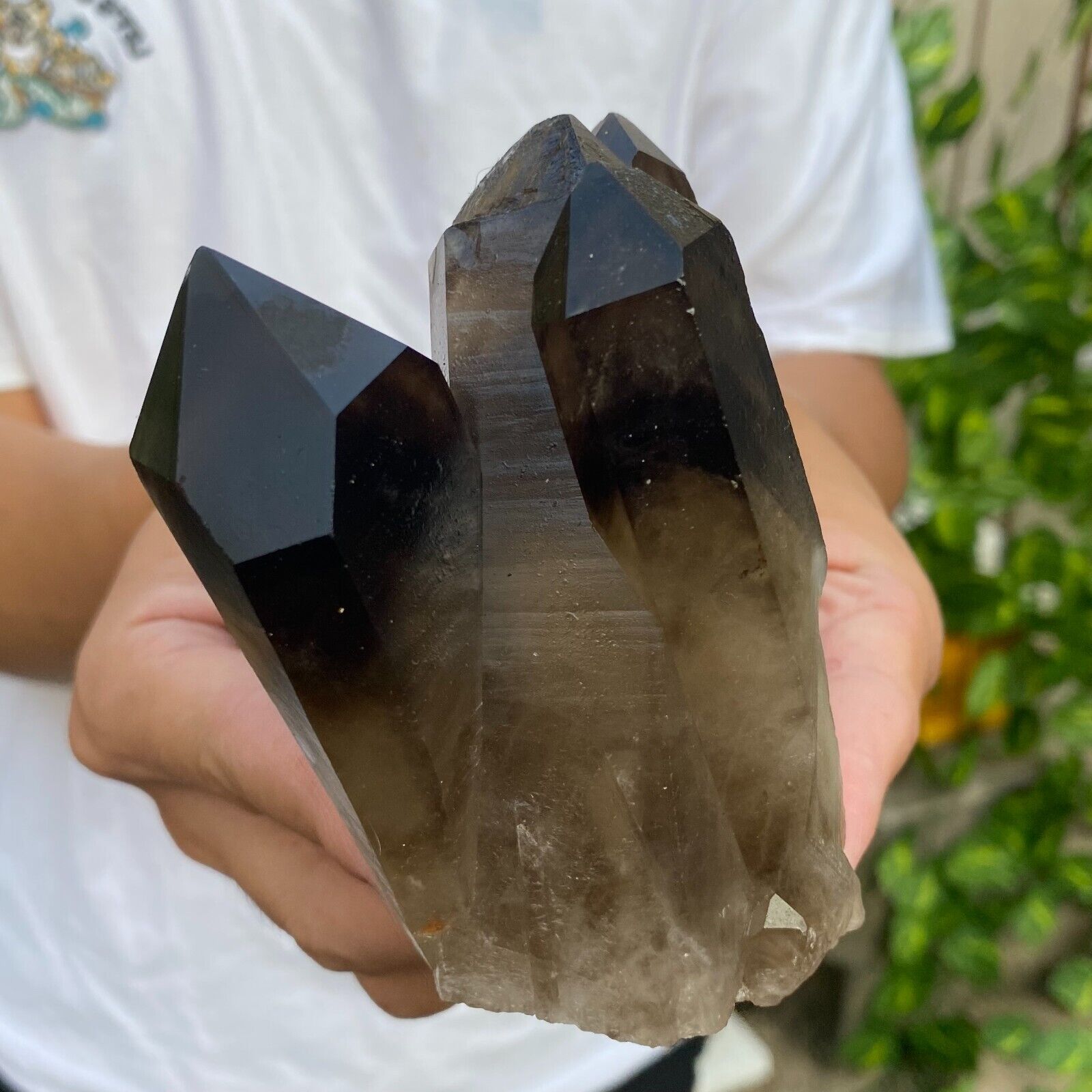 430G Large Natural Black Smoky Quartz Crystal Cluster Rough Mineral Specimen