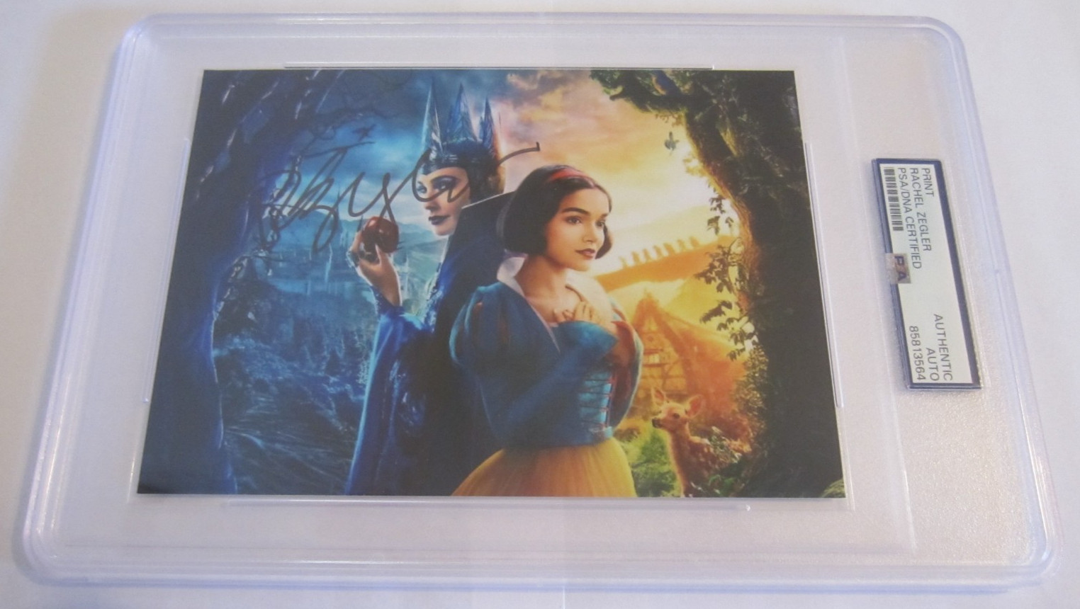 Rachel Zegler signed autographed PSA authentic 5x7 photo Disney's Snow White