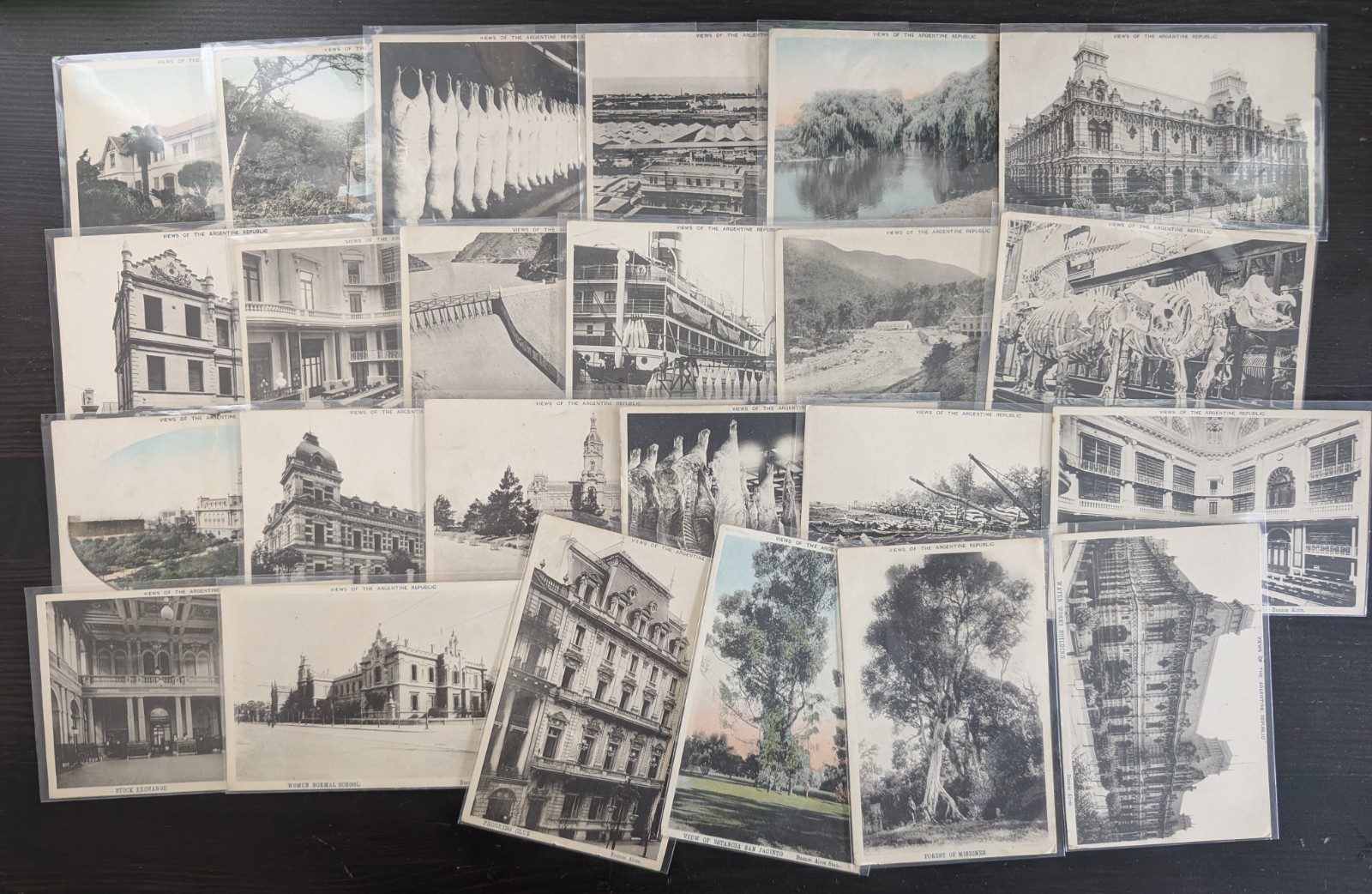 Argentine Republic Series Large Lot of 24 Vintage Argentina Postcards Unused
