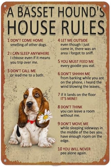 Basset Hound House Rules Vintage Tin Metal Signs Home Décor 8x12Inch Living Room