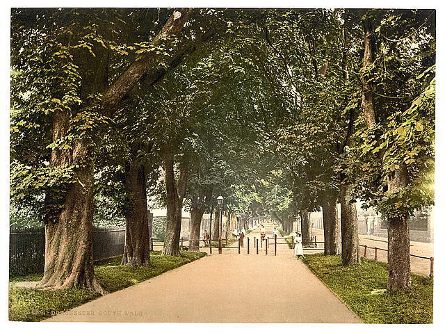 South Walk Dorchester England c1900 OLD PHOTO