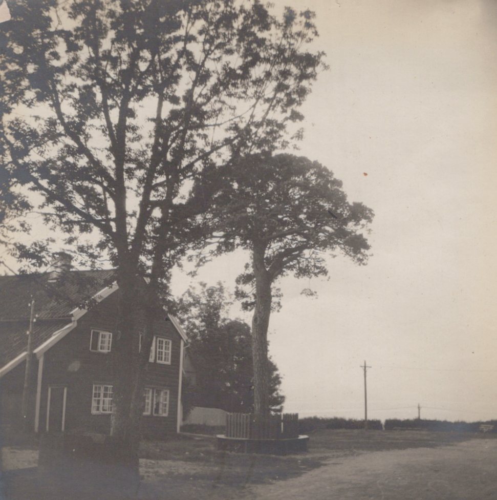 Antique Norway 1904 Voss landscape house RARE Original Photo