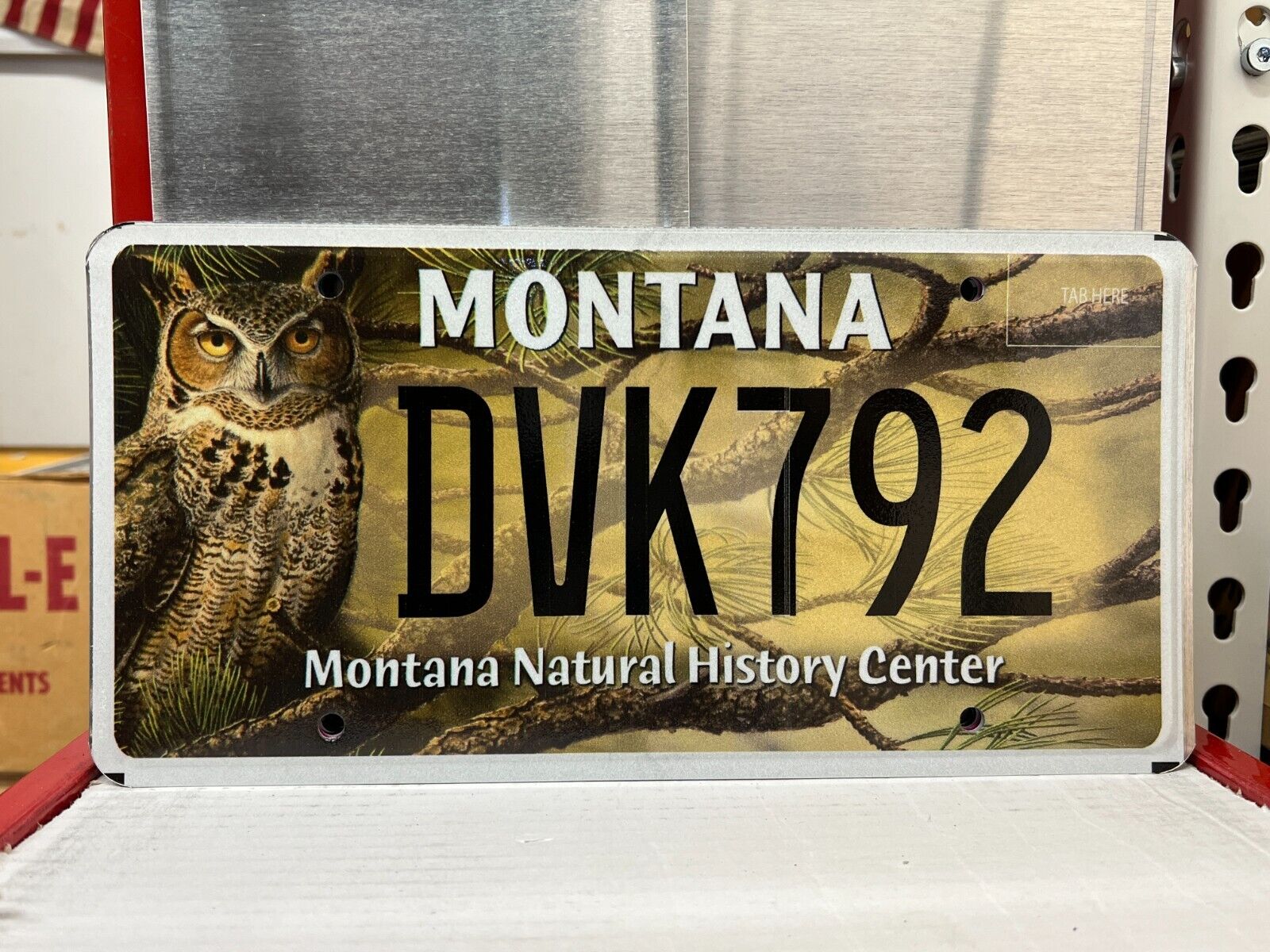 MONTANA NATURAL HISTORY MUSEUM LICENSE PLATE