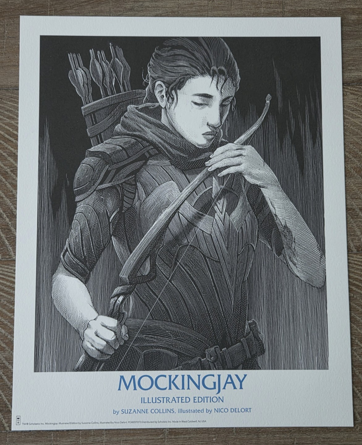 NYCC 2026 THE HUNGER GAMES - MOCKINGJAY ILLUSTRATED EDITION 8 x 10 PRINT