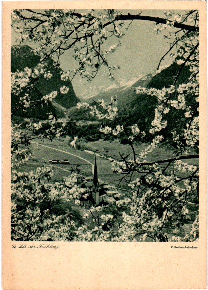 Vintage Postcard - Long Live Spring.