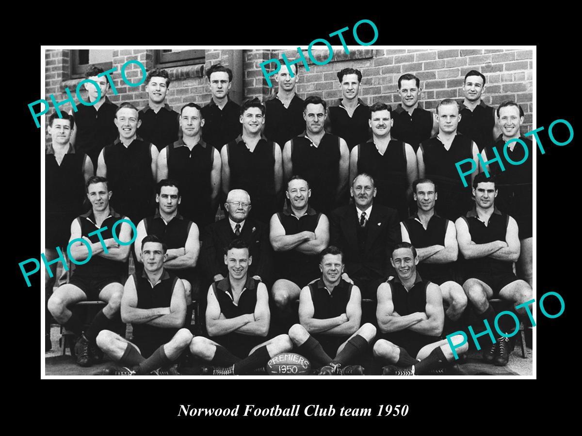 OLD LARGE HISTORIC PHOTO OF THE SANFL NORWOOD FOOTBALL CLUB TEAM 1950 PREMIERS