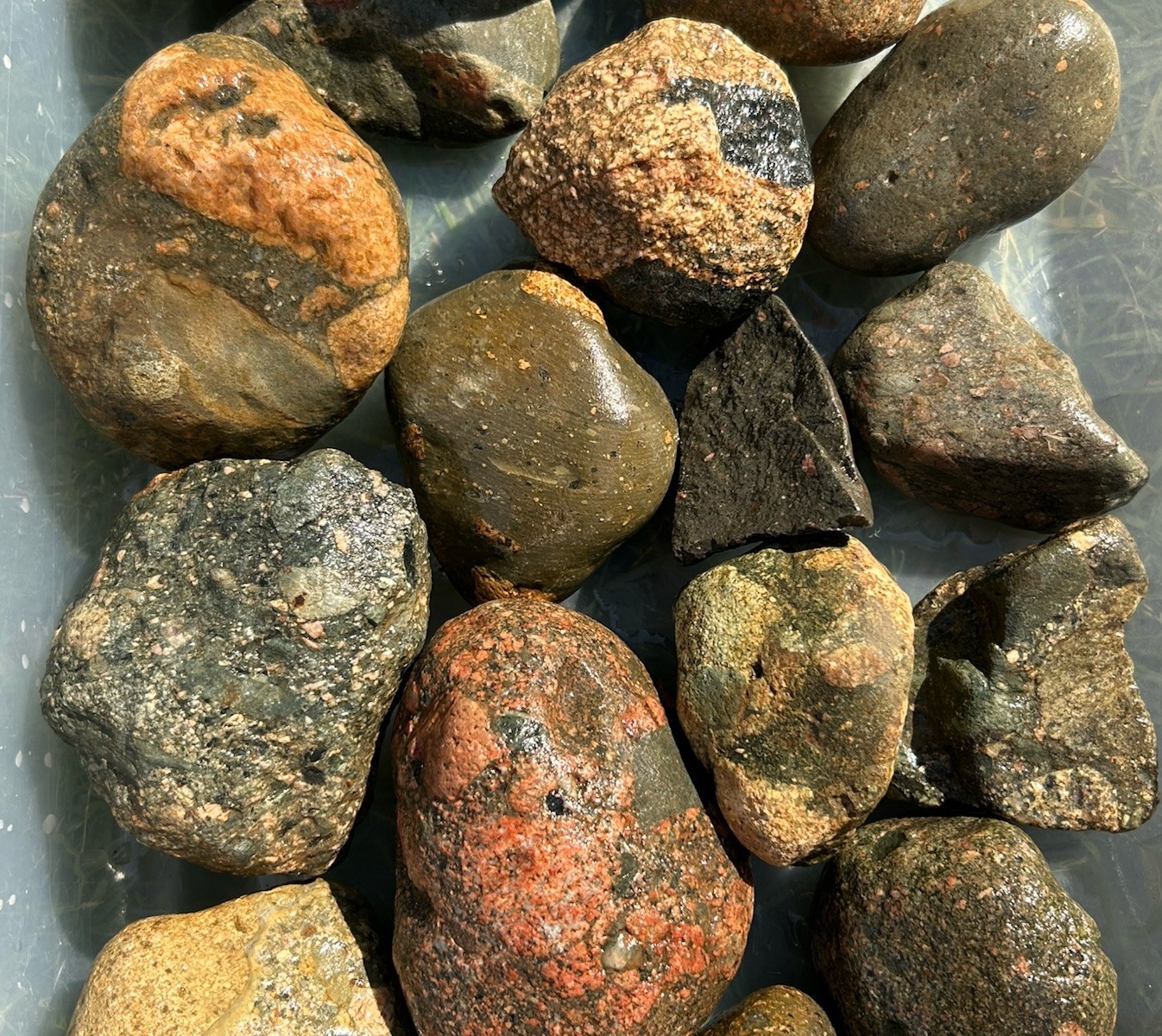 17lbs Lake Michigan Rocks Gowganda Tillite Specimen Lot New 