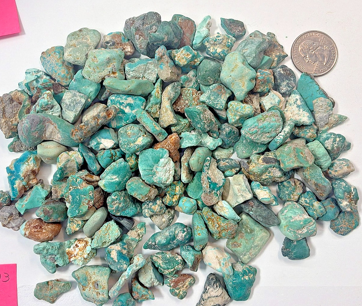 338 Grams of Stabilized American Turquoise Rough Nevada Turquoise Fox mine rough
