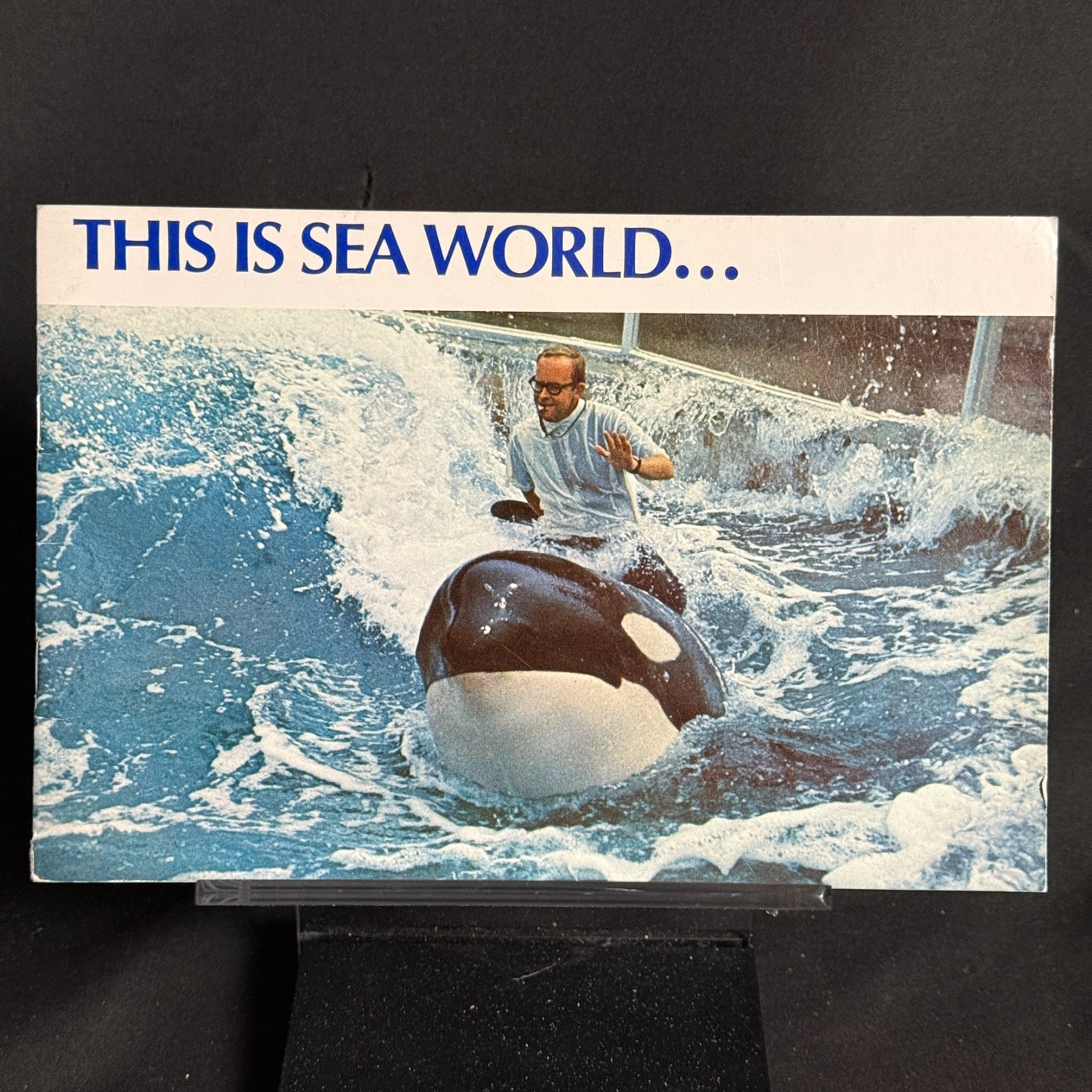 1970 This Is Sea World San Diego Souvenir Booklet Shamu Orca Mission Bay Vintage