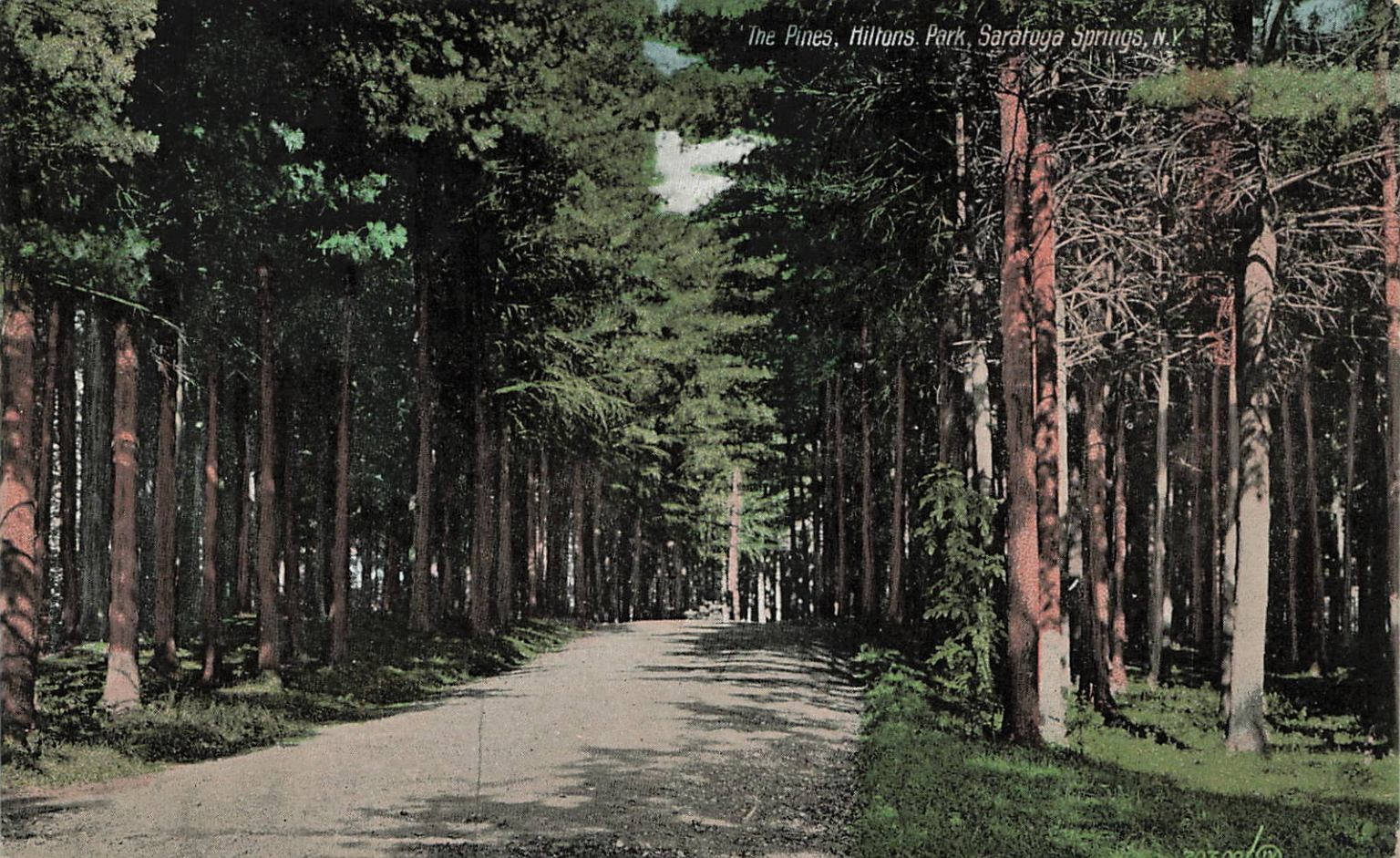 The Pines, Hiltons Park, Saratoga Springs NY Postcard 1912 Divided Back